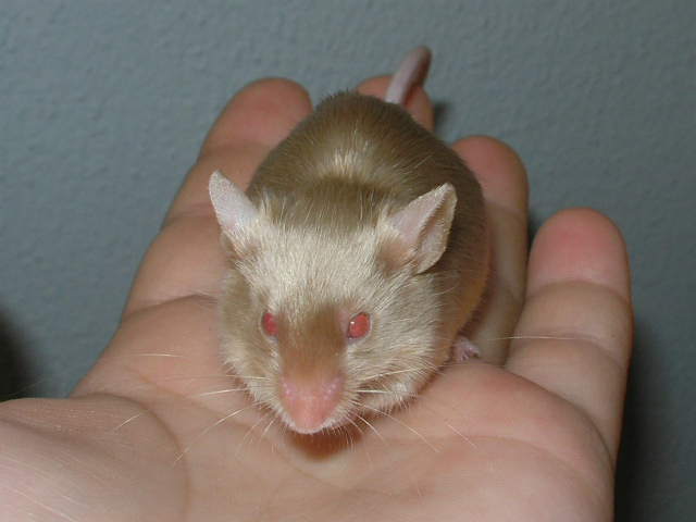Snímek 002.jpg